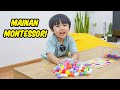Kyo Belajar Warna Warni - Mainan Montessori Anak - Homeschooling