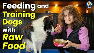 The Raw Feeding Guide To Training Your Dog With All Forms Of Treats #252 #podcast by Dogs That 6,874 views 3 months ago 16 minutes