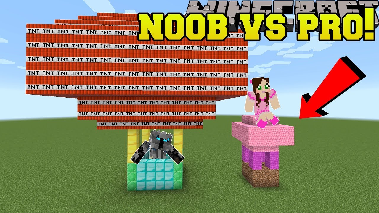 Minecraft: NOOB VS PRO!!! - MASTER BUILDER! - Mini-Game 