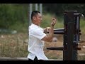 Wing Chun Master | Master Dong | Dragon Mountain Kung Fu Academy