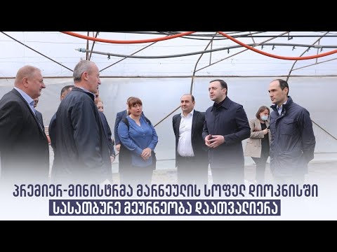 პრემიერ-მინისტრმა მარნეულის სოფელ დიოკნისში სასათბურე მეურნეობა დაათვალიერა