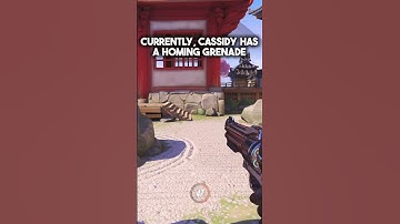 McCree is OLDER than your Step-Sister