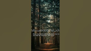 كل نفس ذائقة الموت (سورة العنكبوت The Spider)- عبد الرحمان مسعد- قرآن كريم _ Quran kareem
