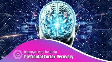 Mind Sharpener: Healing Sounds for Prefrontal Cortex Recovery and Calm | Binaural Beats for Brain