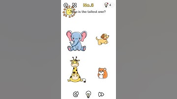 No.3 Who is the tallest one? Game brain out