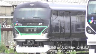 車体側面が黒く変身したE257系付属編成 M-205編成/ 251系RE-2編成解体終了！2020.7.11 JR長野総合車両センター　　panasd 1829