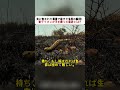 炎に包まれた草原で起きた生死の瞬間！ 母ライオンが子を救った奇跡とは？ #ライオン #草原火災 #野生動物 #サバイバル #自然の脅威