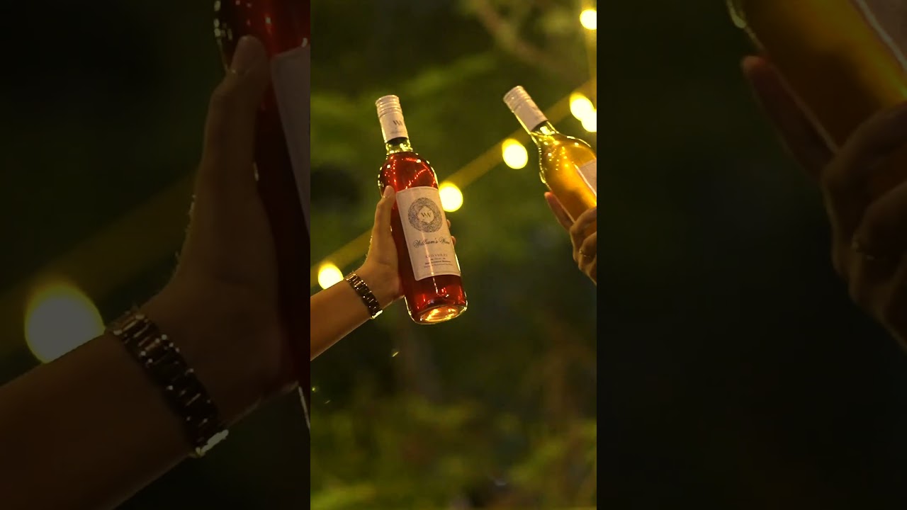 "Raise the Bottle & Sip the Joy | William’s Wine Non-Alcoholic Delights"