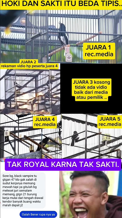 MEDIA BUKA FAKTA JURI NAKAL PEMAIN NGODENG. #kicau #kicaumanianusantara #shortvideo #kacermania