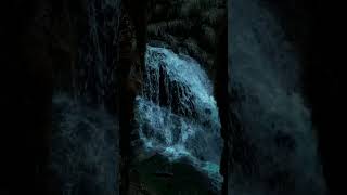 nature  darkaesthetic  moody  calm   #fyp  $foryou  #gloomy   #natureverse #shorts