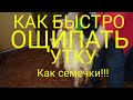 Как быстро ощипать утку, как быстро выпотрошить утку, как правильно разрезать пупок (Желудок)