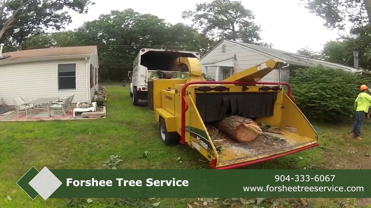 Forshee Tree Service Tree Service in Jacksonville,FL Forshee Tree Service Tree Service in Jacksonville,FL
