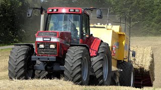 Case IH Magnum 7240 w/ Cool Sound in the field baling w/ New Holland BB980 Big Baler