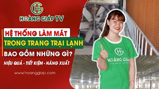 Hoàng Giáp Tv Hệ Thống Làm Mát Quan Trọng Thế Nào Trong Mô Hình Chăn Nuôi Trang Trại Lạnh