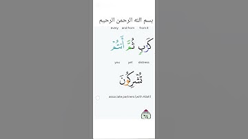 تلاوات مؤثرة روح وريحان: آيات من الذكر الحكيم #القرآن_الكريم #تلاوة_خاشعة #ذكر_الله