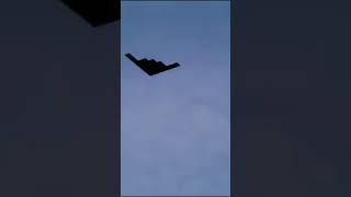 Guess The Airplane シ