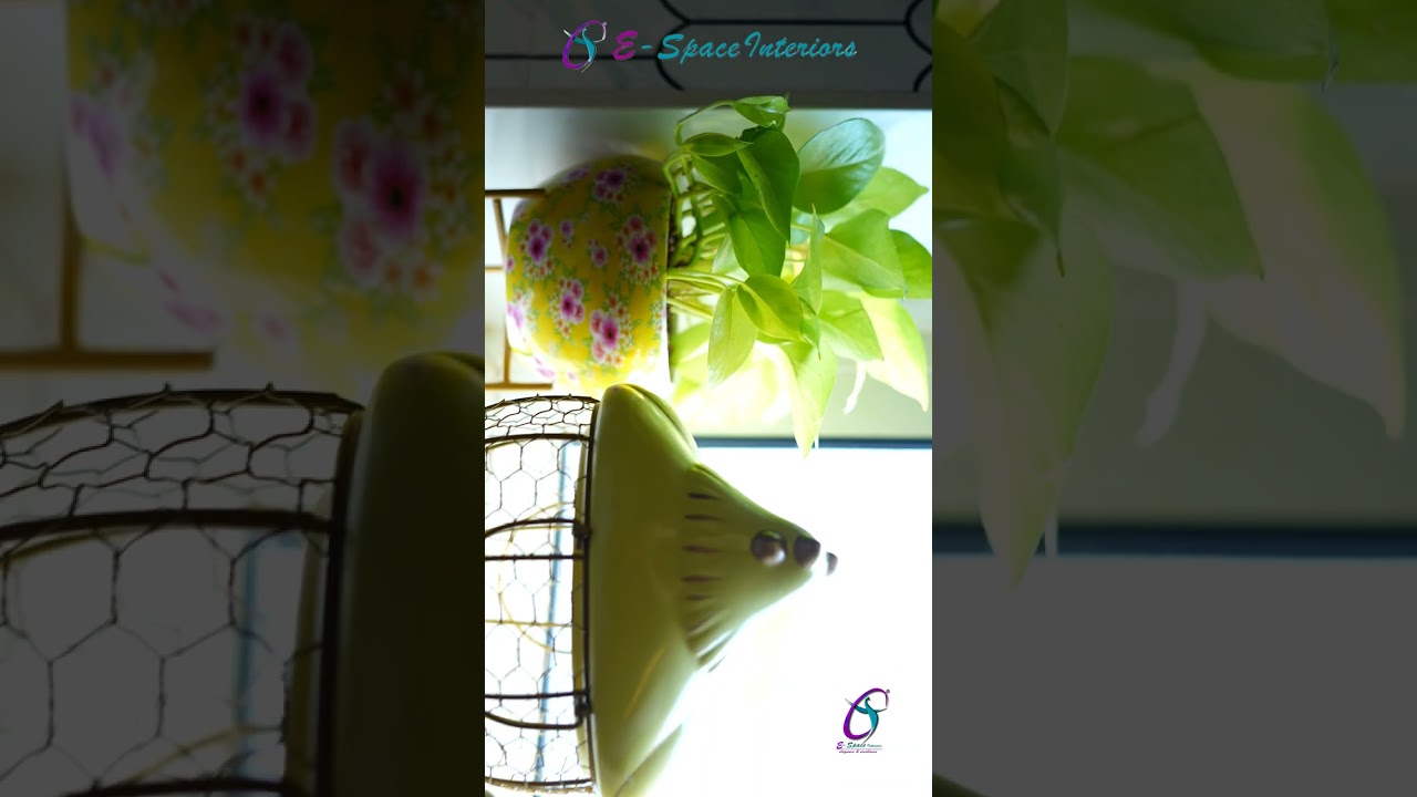 𝐊𝐢𝐭𝐜𝐡𝐞𝐧 𝐃𝐞𝐬𝐢𝐠𝐧 𝐰𝐢𝐭𝐡 𝐚 𝐓𝐨𝐮𝐜𝐡 𝐨𝐟 𝐆𝐫𝐞𝐞𝐧! | 𝐁𝐞𝐬𝐭 𝐈𝐧𝐭𝐞𝐫𝐢𝐨𝐫 𝐃𝐞𝐬𝐢𝐠𝐧 | 𝐄-𝐒𝐩𝐚𝐜𝐞 𝐈𝐧𝐭𝐞𝐫𝐢𝐨𝐫𝐬