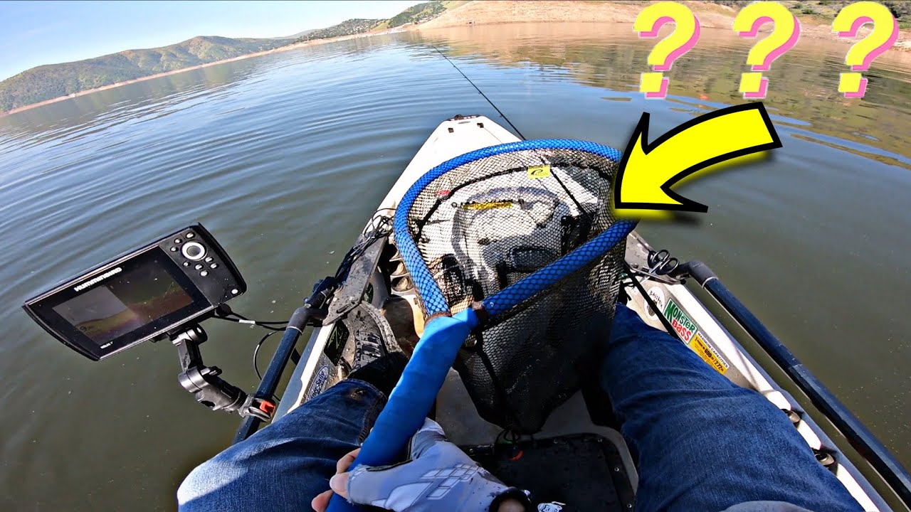 Surprise Catch Makes My Kayak Do Circles at Pine Flat Lake, CA YouTube
