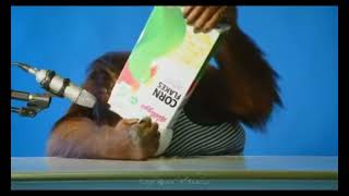 Cille Turnuvası Yapıyorum