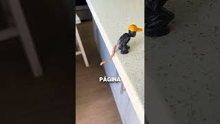 Compra el primer producto que recomienda TikTok y se arrepiente al instante😅
