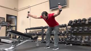 Dumbbell Bent Over Y Raise