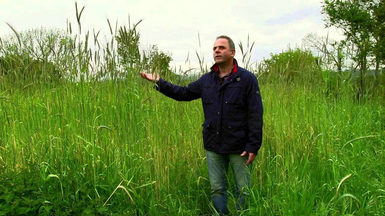 Queixería Arqueixal - Bienvenidos al campo