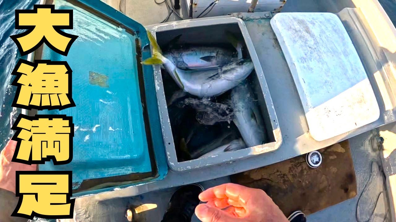ブリは巻くだけで簡単に釣れます　