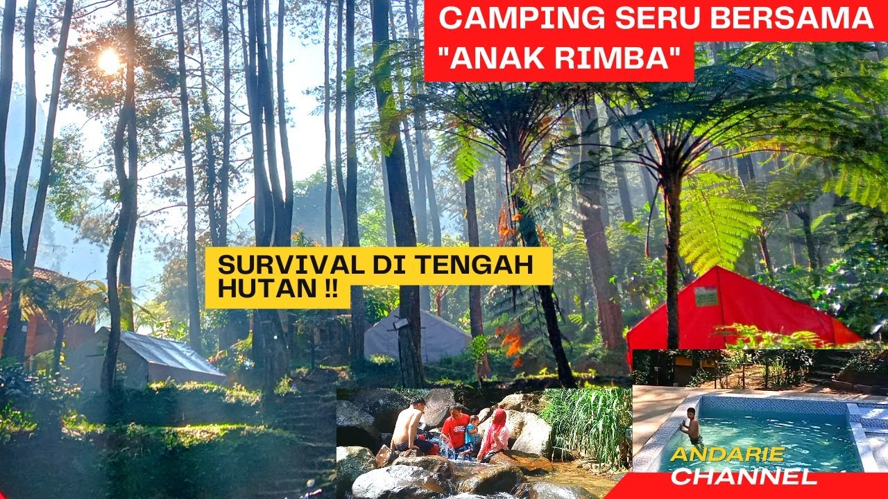 Hutan Rimba Track Camping keluarga di tengah hutan ‼️ Kampung Rimba Puncak Bogor | Ada ...