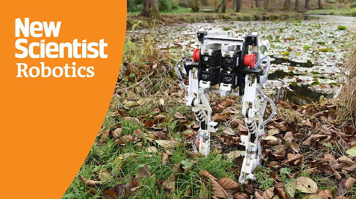 Ostrich-inspired 'BirdBot' has robotic legs more efficient than more complex devices