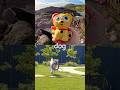 Kids Learn | Animal Names at the Rock Pool: Duck Rhino Lion Cougar Dog