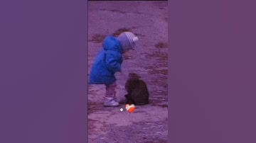 فاصبر صبراً جميلا🌸✅تلاوات خاشعة/مقاطع قصيرة قرآن كريم/ستوريات قرءان