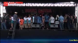 Sarung Ilang Diana sastra