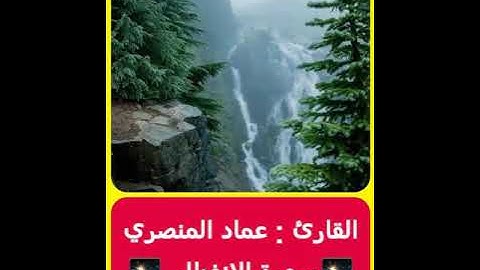 سورة الإنفطار _ القارئ عماد المنصري