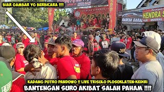 Bantengan Suro Akibat Salah Paham❗Jaranan KADANG PUTRO PANDOWO Live Trisulo Plosoklaten Kediri