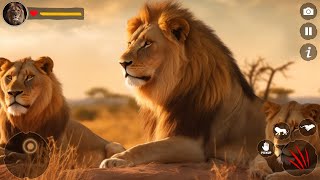 Lion Simulator | Offline Lion Family Simulator | Lion Family Game screenshot 4