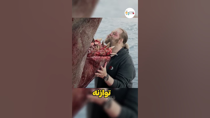 سمكة القرش تهاجم القارب 🦈
