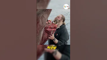 سمكة القرش تهاجم القارب 