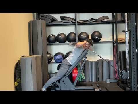 Chest Supported Low to High Cable Face Pull