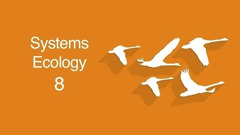 Ecological Self-Organization