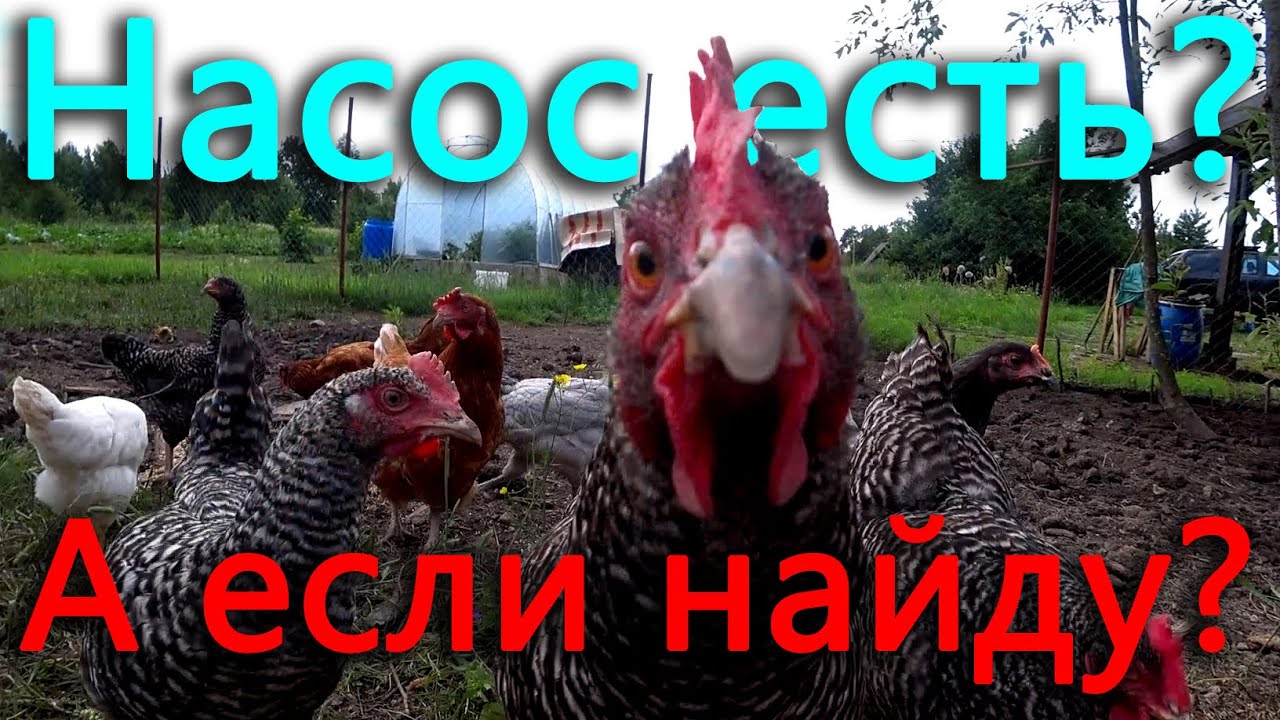 Откуда взялся насос? Я всегда мил с теми кто мил со мной, это главное ...