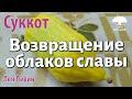 Урок для женщин. Возвращение облаков славы. Лея Левин