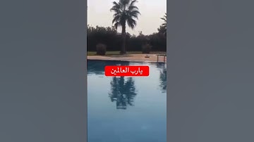 #سورة_الكهف #الرقية_الشرعية #حمزة_بوديب #سورة_البقرة #تحصين #القرآن_الكريم #دعاء_الحاجة #اكسبلور