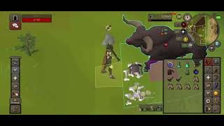 OSRS: Brutus CA: Smarter than a cow& Brutus speed trialist screenshot 3