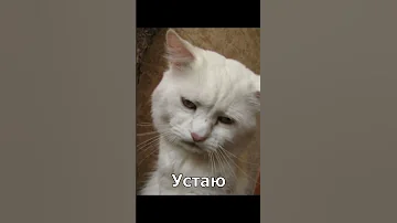 Обычный день бухгалтера