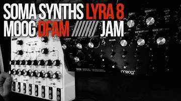Soma Lyra 8 and Moog DFAM Collision (Jam)