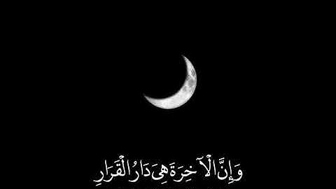 سورة غافر (ايه 39) القارئ #صلاح_المصلي