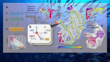 A Visual Analytics Approach for Ecosystem Dynamics based on Empirical Dynamic Modeling