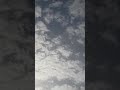 مقناص العراق 2019 عيسى عاكول الزركاني