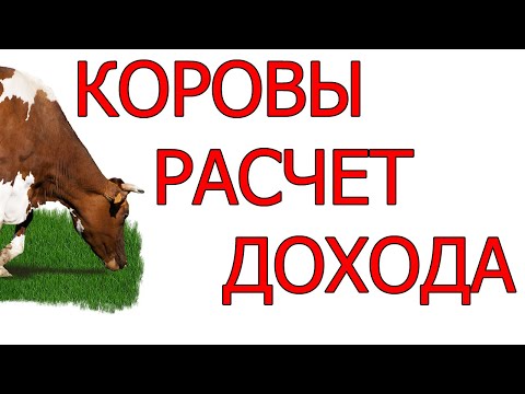 Бизнес на коровах. Расчет прибыли от молока и сыра. Бизнес-план. | Бизнес-идеи