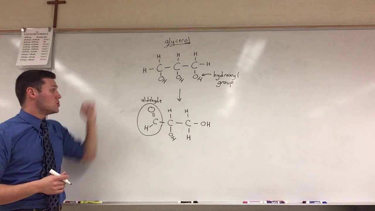 (AP Biology) Glyceraldehyde 3-phosphate (G3P) - YouTube